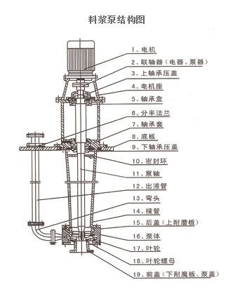 料漿泵結(jié)構(gòu)圖.jpg